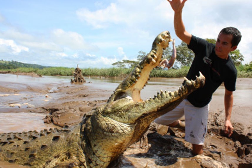 crocodile tour in costa rica