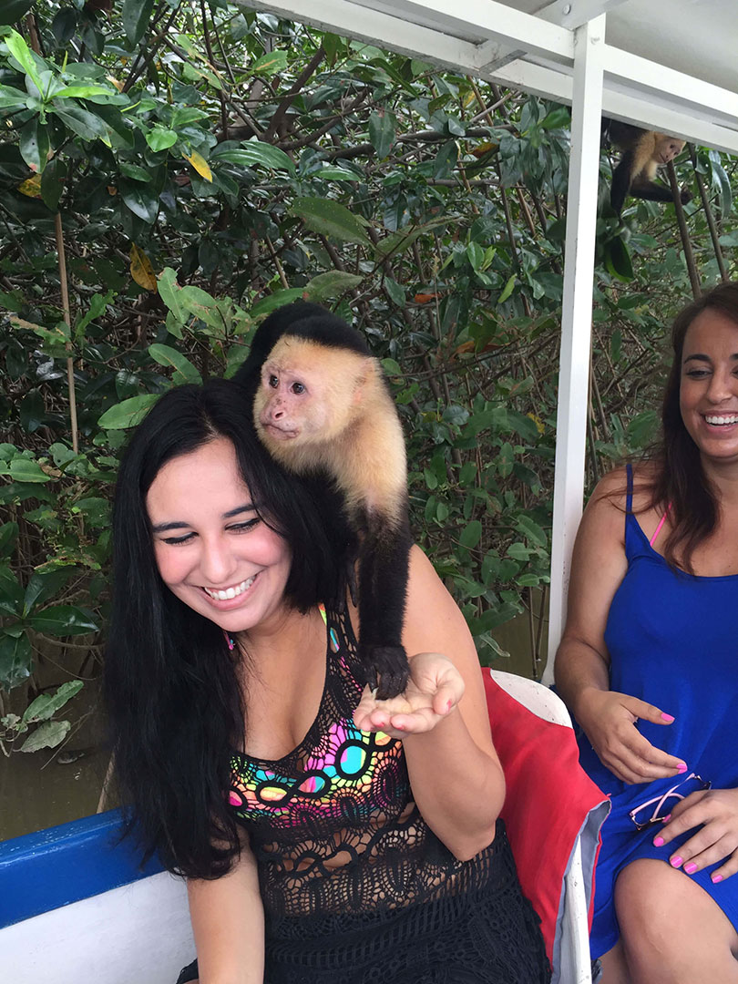 Monkey Tour, Visit Jaco Costa Rica